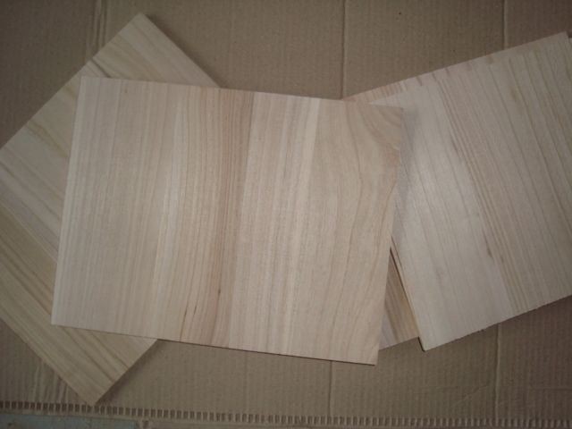 Taekwondo/Karate Training Boards