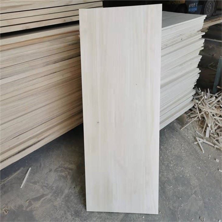 paulownia 4