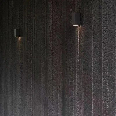 Shou Sugi Ban